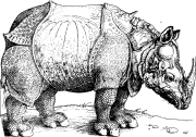 rhinoceros-of-durer-3133131_960_720